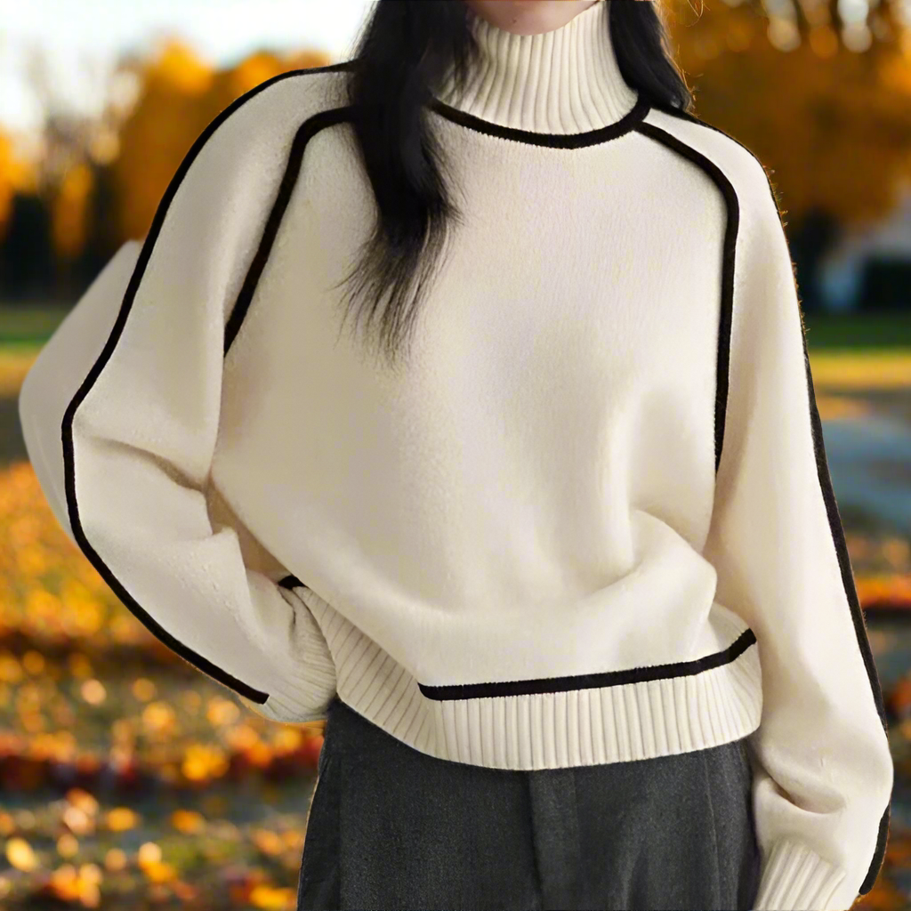 Delani Knit Turtleneck