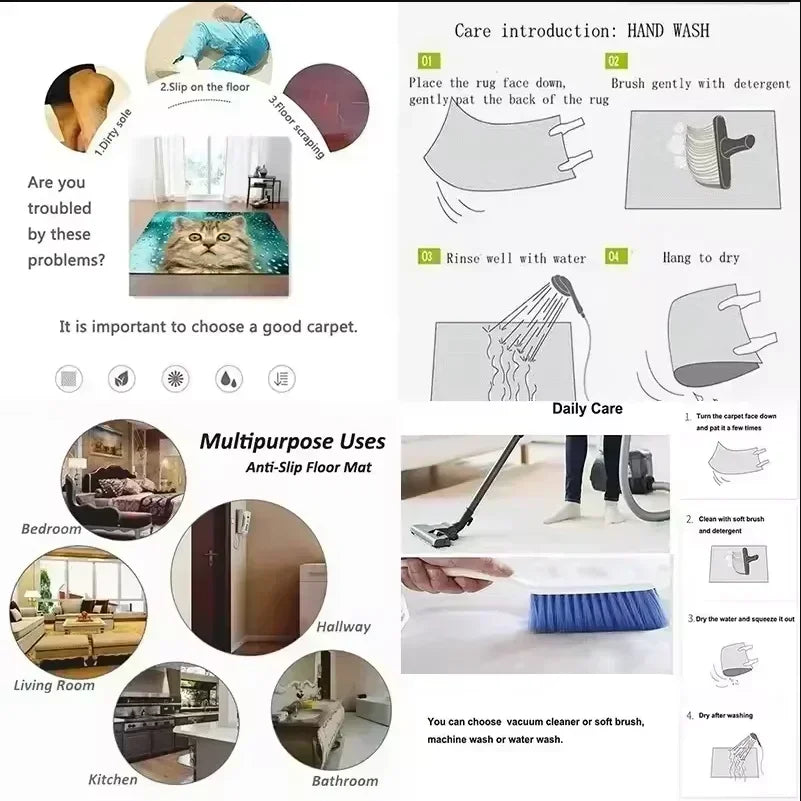 Multifunctional rug care guide with images and text on a white background