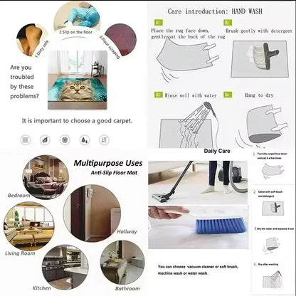 Multifunctional rug care guide with images and text on a white background